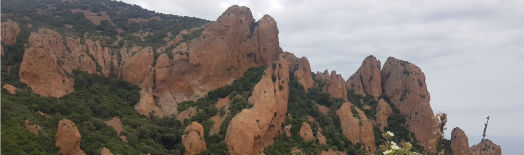 LE MASSIF DE L&rsquo;ESTÉREL